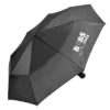 UU0072PEA 100x100 - Supermini Umbrella