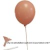 Promotional Balloon Printed And Personalised Balloons Cup Stick 1 100x100 - Standard 10 inch Balloon