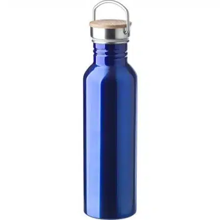 Stainless steel bottle 700ml 1 450x450 - Stainless steel bottle (700ml)