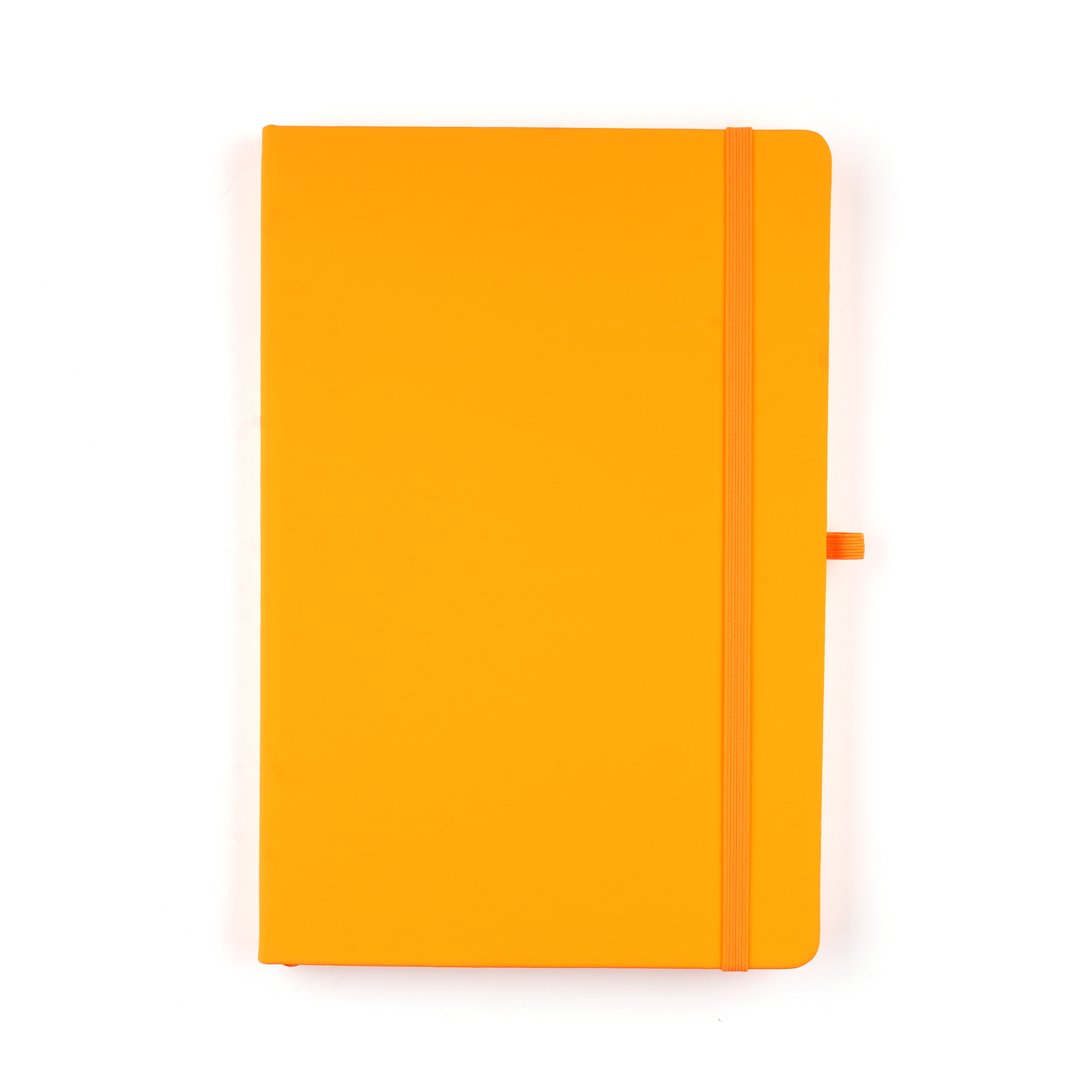 QS3345AM - A5 Neon Mole Notebook