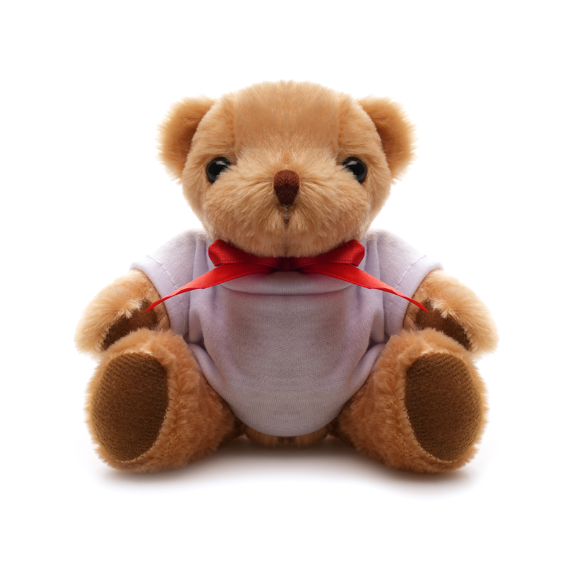TB0005 2 - Fuzzy 20cm Teddy Bear