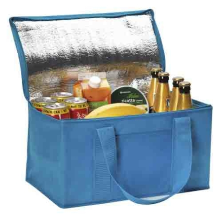 Rainham 12 Can Cooler Bag.